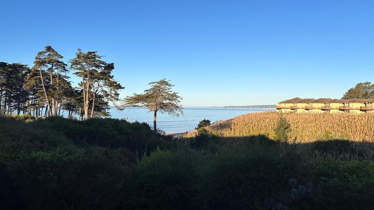 Spectacular Ocean View - 3 Heated Pools - Seascape Aparthotel Aptos Exteriör bild